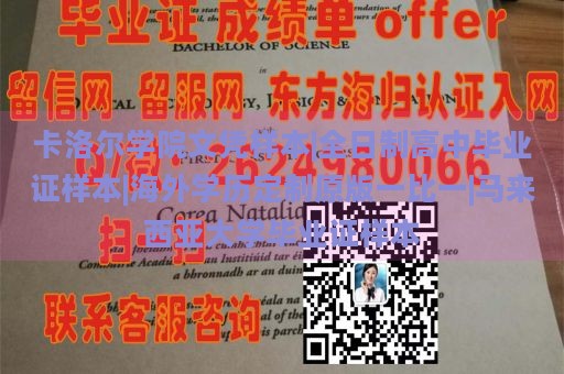 定制都柏林城市大学文凭|制作国外学历文凭|德国大学文凭样本|国外大学毕业证书